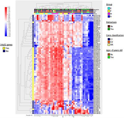 A MicroRNA Cluster in the DLK1-DIO3 Imprinted Region on Chromosome 14q32.2 Is Dysregulated in Metastatic Hepatoblastomas